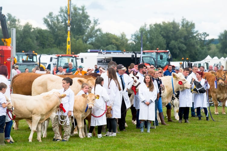 Usk show