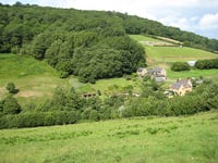 Highbury Wood Nature reserve walk