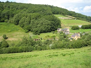 Highbury Wood Nature reserve walk