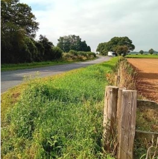 MP blamed for rise in gypsy plan costs