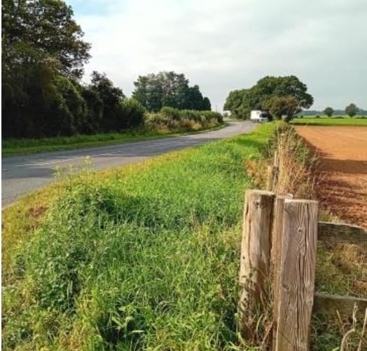 Oak Grove Farm