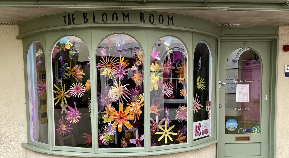 ‘Phenomenal’ window display soon to be heading to Ross