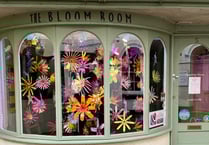 ‘Phenomenal’ window display soon to be heading to Ross