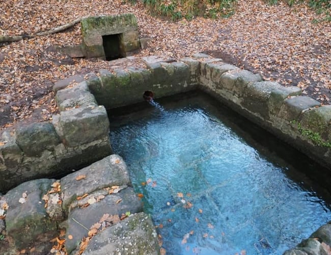 Visitors were 'aghast' when they encountered a naturist group at St Anthony's Well in Cinderford