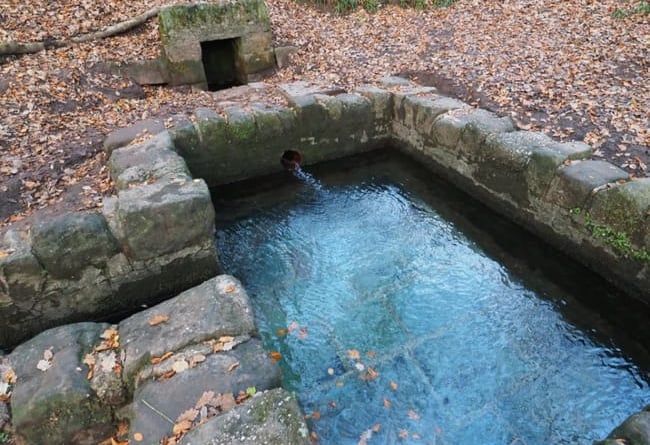 Visitors were 'aghast' when they encountered a naturist group at St Anthony's Well in Cinderford