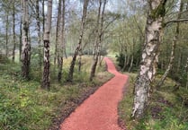 Forest's New Fancy viewpoint upgraded