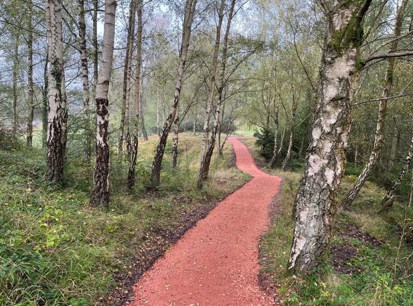 A section of path at New Fancy viewpoint