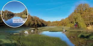 Re-naturalising of Cannop Brook no longer an option - Forestry England