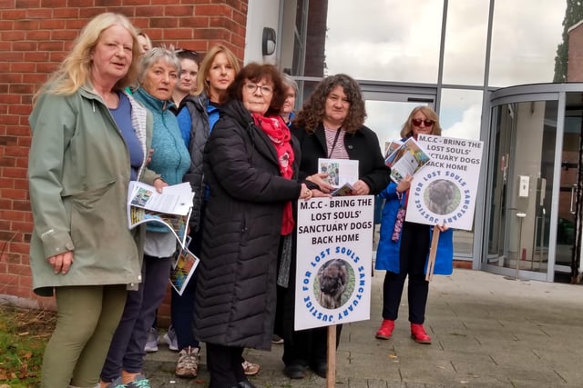 Raided animal sanctuary supporters picket Monmouthshire County Hall 
