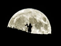 Halloween 2023: More witches living in Forest of Dean