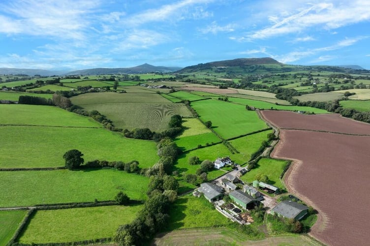 duffryn