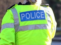 Girl, 12, suffers life-changing injuries in dog attack 