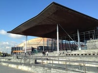 Patient safety concerns raised at the Senedd