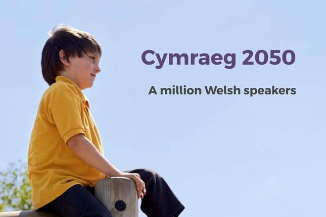 Welsh Government Welsh speakers