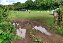 Drop-in days for gypsy site  consultation