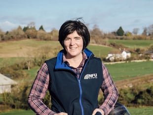 Search is on for 26th Wales Woman Farmer of the Year