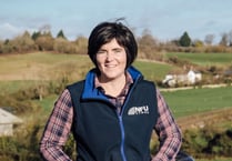 Search is on for 26th Wales Woman Farmer of the Year
