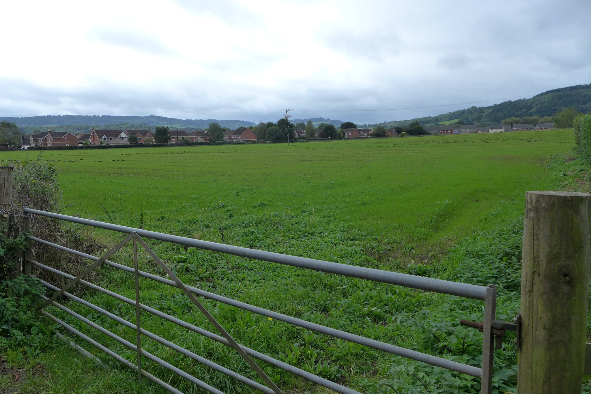 Plan for 70 houses off Monmouth's Rockfield Road passes first stage