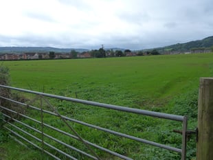 Plan for 70 houses off Monmouth's Rockfield Road passes first stage