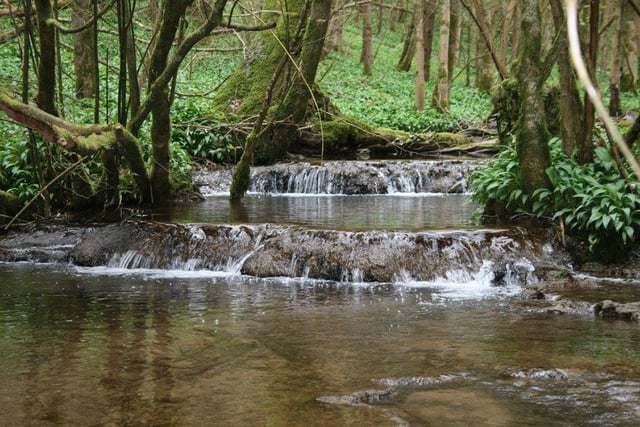 Wye Valley council considers using power of streams for electricity