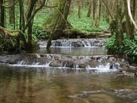 Wye Valley council considers using power of streams for electricity