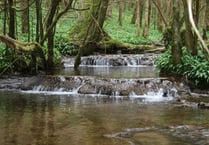 Wye Valley council considers using power of streams for electricity