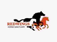 Rescued ponies thriving at Redwings