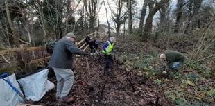 Volunteers plant hundreds of shrubs to improve safety on town footpath