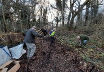 Volunteers plant hundreds of shrubs to improve safety on town footpath