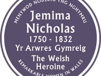 Wales' 15th purple plaque unveiled 
