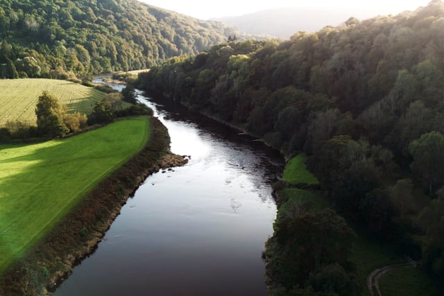 Rivers at risk of becoming wildlife deserts warns campaign group
