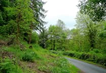 Green light for Monnow Valley forestry track plan