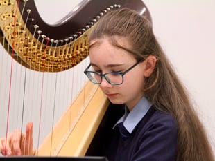 Young musicians impress at Spring Showcase