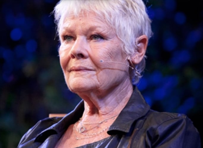 Dame Judi Dench is among a host of stars set for this year's Hay Festival