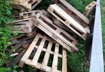 Fly tipping proves costly for lorry driver