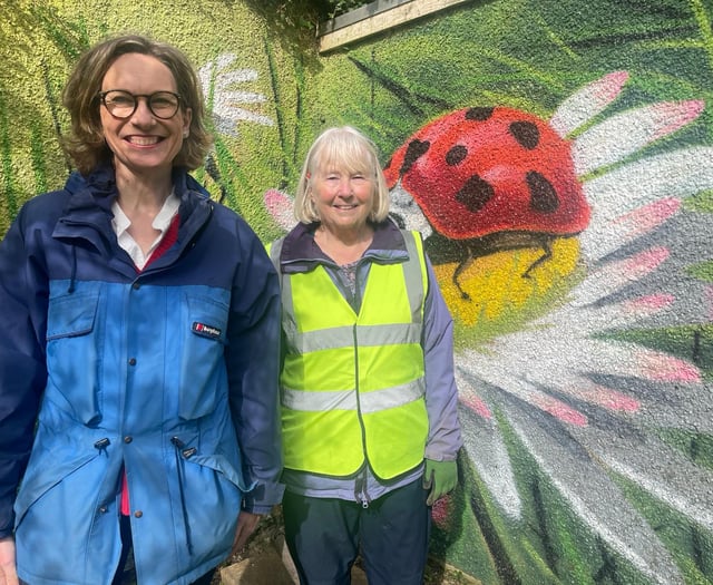 Labour candidate visits park volunteers in Abergavenny