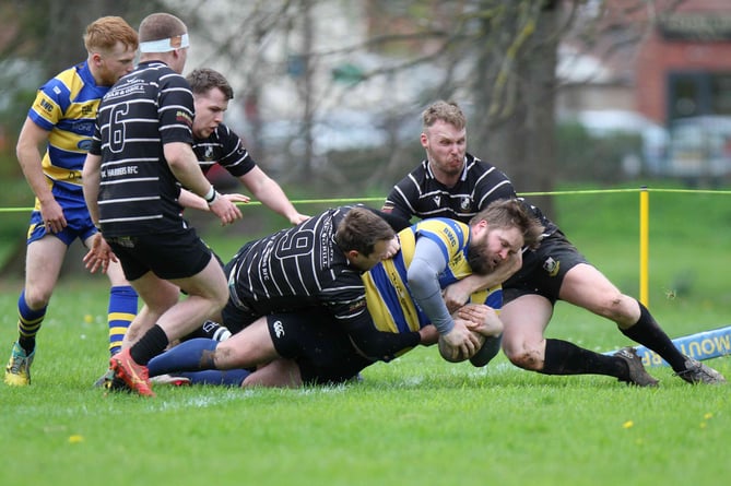 A try for the Monmouth Druids No 8