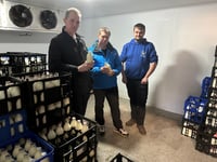 U-turn for MCC as Raglan Dairy wins back milk contract for county