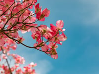 Weekly weather forecast for your area