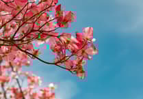 Weekly WeatherWatch for your area