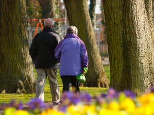 Forest of Dean has more green paths than almost anywhere in England
