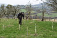 Charity continue mission to plant 1 million trees in Brecon Beacons