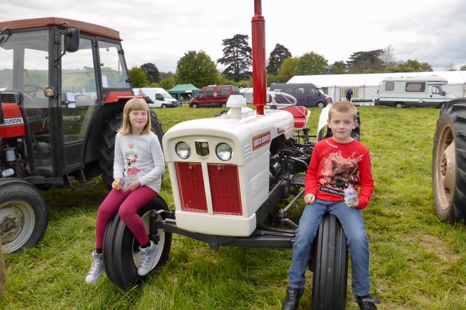 Sitting pretty on a tractor