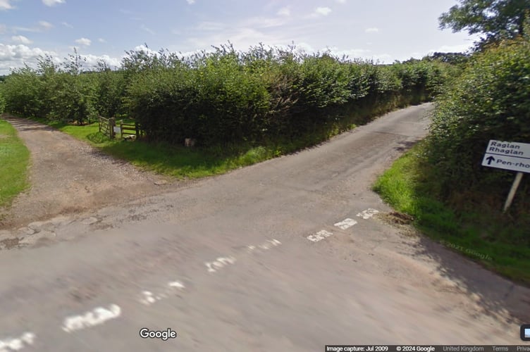 The orchards at Penrhos