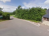 Outcry as apple orchards destroyed