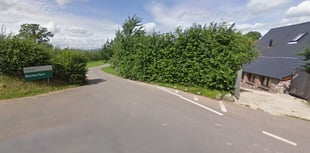 Outcry as apple orchards destroyed