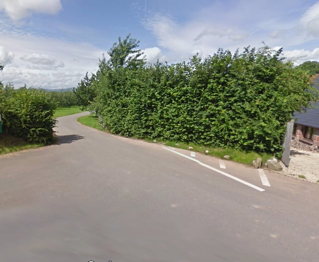 Outcry as apple orchards destroyed