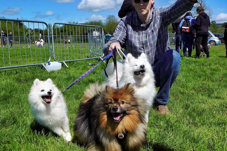 Paul Gray from Coleford with Dayna, Sidney and Luna