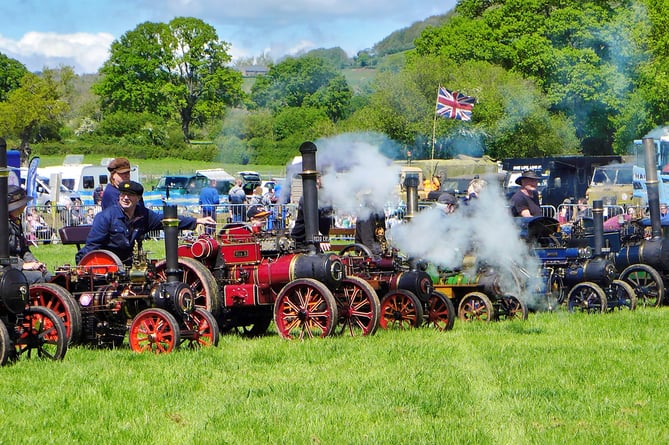 Vintage steam engines show their pulling power