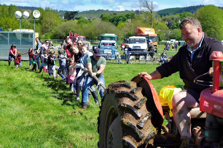 Making a MF 35 spin its wheels with a tug-o-war competition